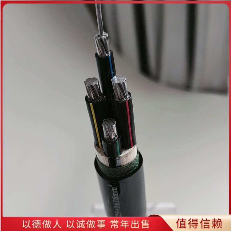 鋁芯交聯(lián)絕緣聚氯乙烯護(hù)套電力電纜粗鋼絲線纜