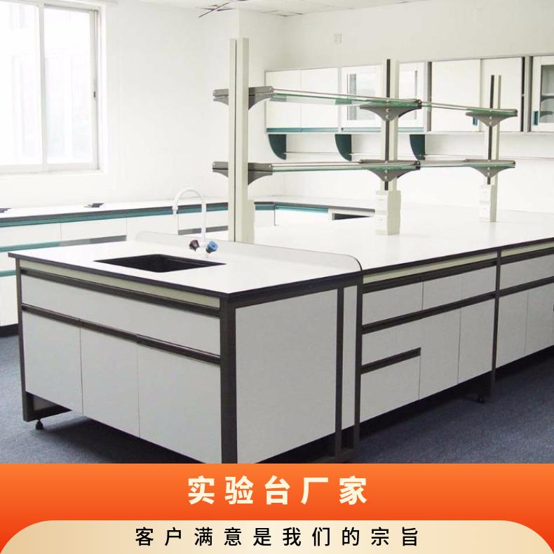 實(shí)驗(yàn)臺(tái)廠家實(shí)驗(yàn)室裝修凈化工程化驗(yàn)室藥品柜試劑柜-思必得speed