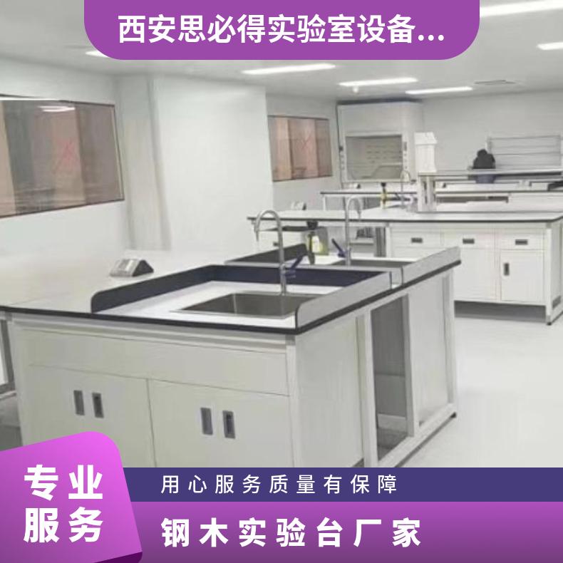 鋼木實(shí)驗(yàn)臺(tái)廠家全鋼通風(fēng)柜PP試劑柜器皿柜思必得speed