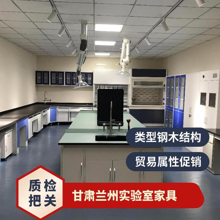 實(shí)驗(yàn)室家具優(yōu)質(zhì)供應(yīng)臺(tái)實(shí)驗(yàn)臺(tái)批發(fā)思必得speed