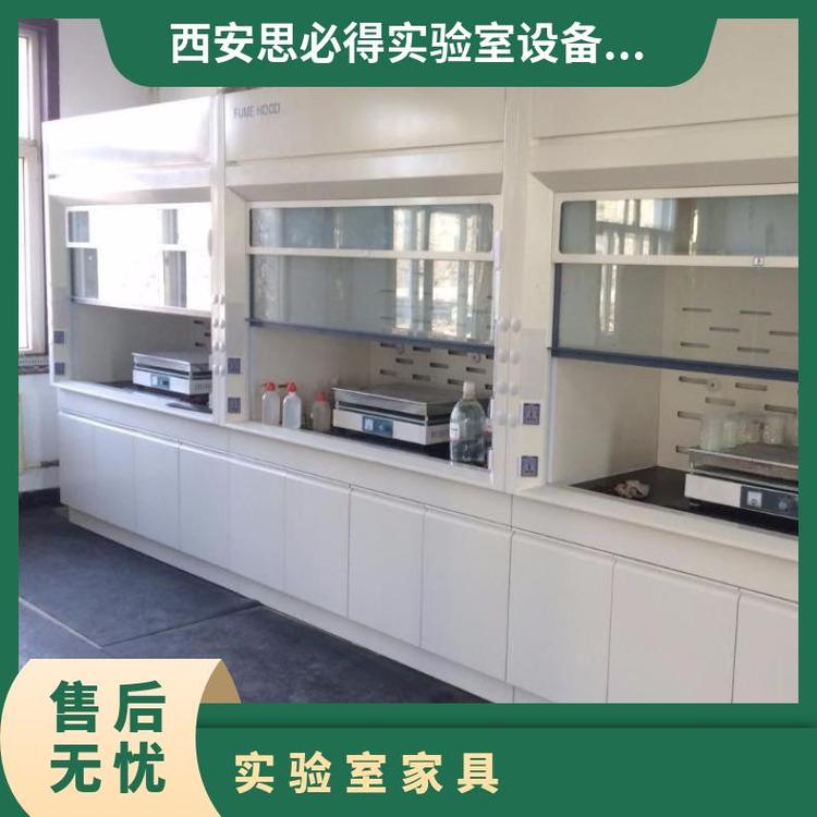 實(shí)驗(yàn)室家具廠家,排風(fēng)設(shè)備,全鋼氣瓶柜思必得speed