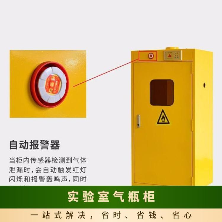 全鋼防爆柜實(shí)驗(yàn)室氣瓶柜批發(fā)優(yōu)質(zhì)供應(yīng)思必得speed