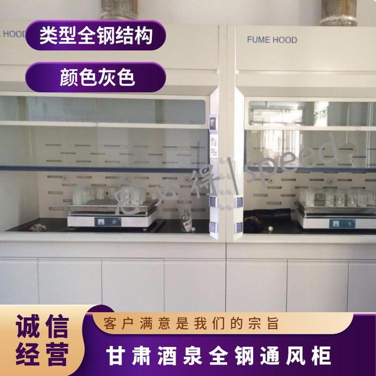 全鋼通風(fēng)柜物理化學(xué)試驗通風(fēng)櫥落地型柜子排風(fēng)設(shè)備思必得speed