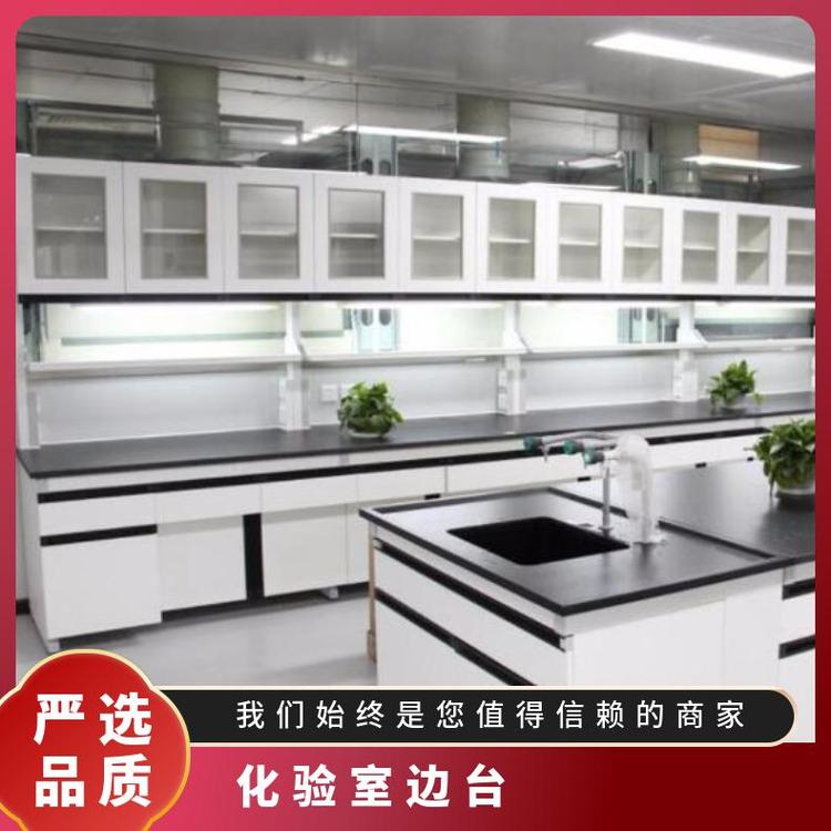 實(shí)驗(yàn)室邊臺(tái)化驗(yàn)室家具廠家定做思必得speed
