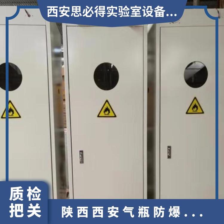 氣瓶防爆柜優(yōu)質(zhì)供應實驗室通風柜思必得speed