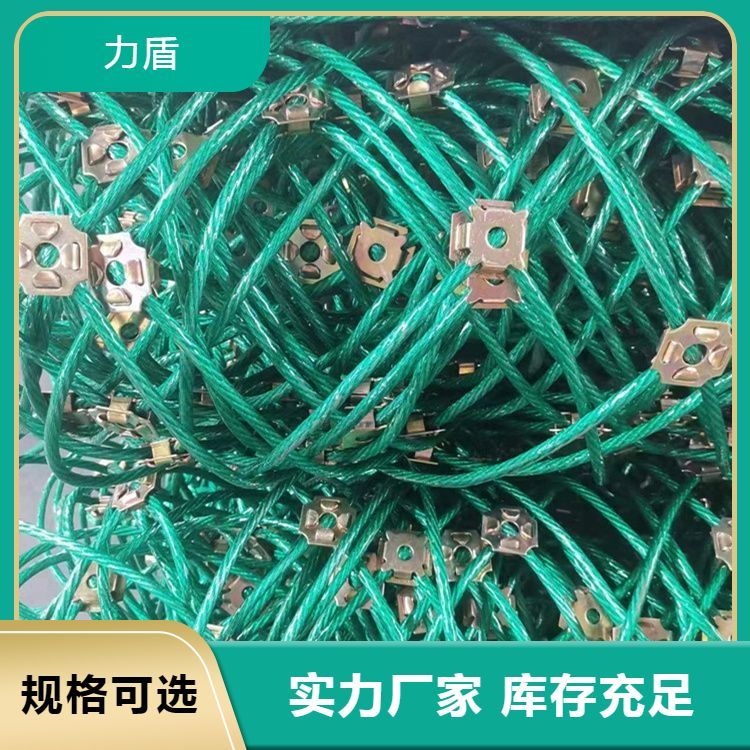 主動(dòng)柔性鋼絲網(wǎng)邊坡防護(hù)網(wǎng)菱形環(huán)山攔石網(wǎng)源頭廠家