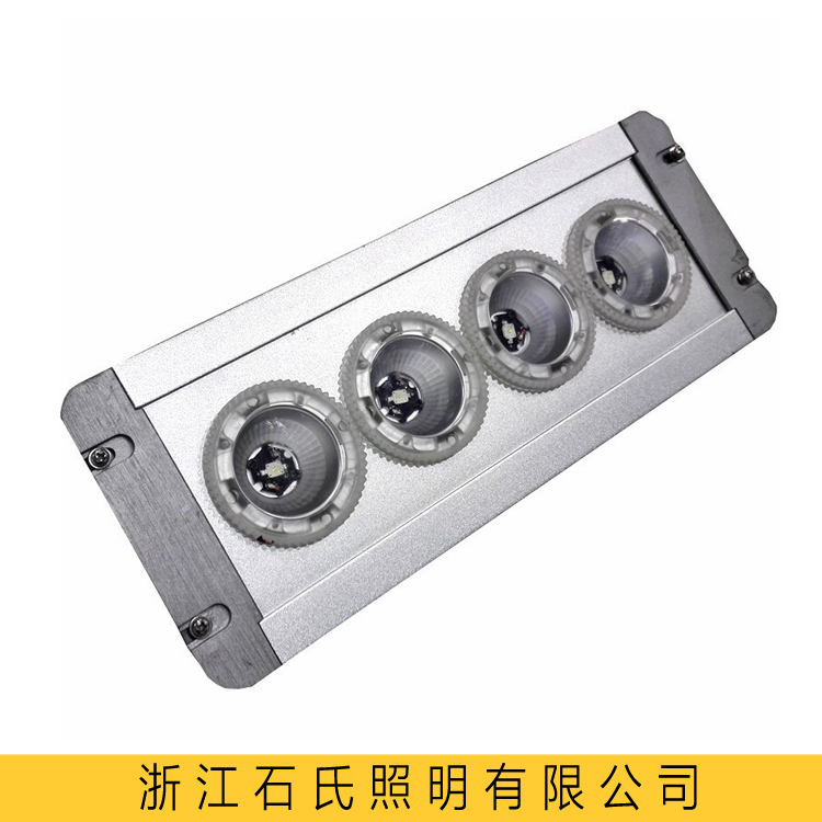 NFC9121LED頂燈NFE9121B\/K-T112W220VDC36V應急照明燈