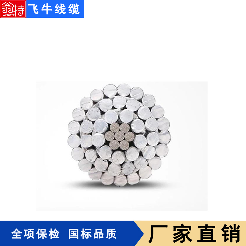 飛牛線纜鋼芯鋁絞線LGJ-300\/25帶鋼芯架空線廠家供應(yīng)定制生產(chǎn)國(guó)標(biāo)