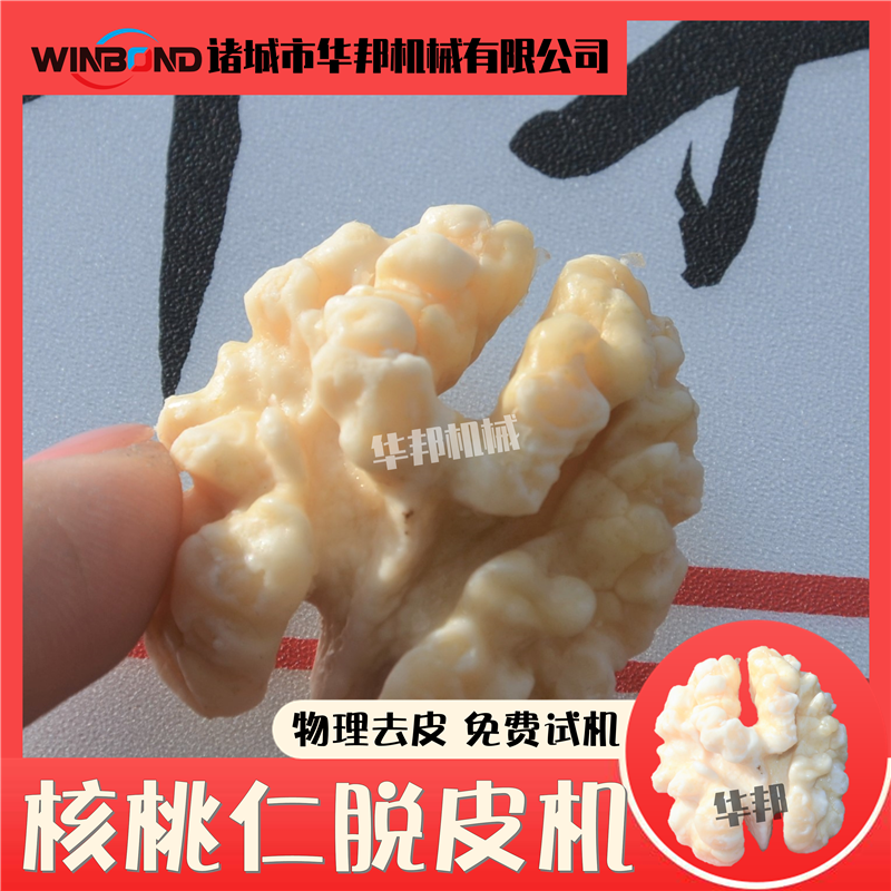 風(fēng)味核桃仁去皮機(jī)自動(dòng)果仁脫衣設(shè)備滾筒式高壓水去皮