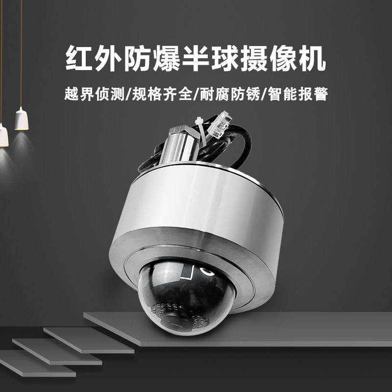 紅外防爆半球攝像機?？荡笕A高清網(wǎng)絡(luò)攝像頭poe供電304不銹鋼護罩