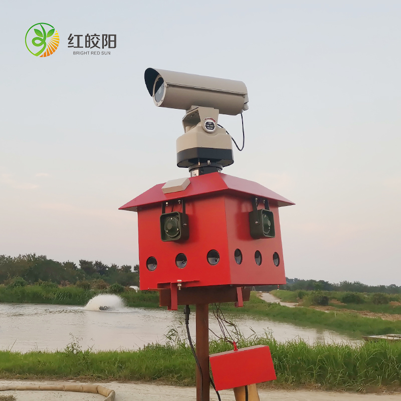 智能1000mw激光語音驅鳥器智能養(yǎng)殖場魚塘專用超聲波驅鳥趕鳥設備