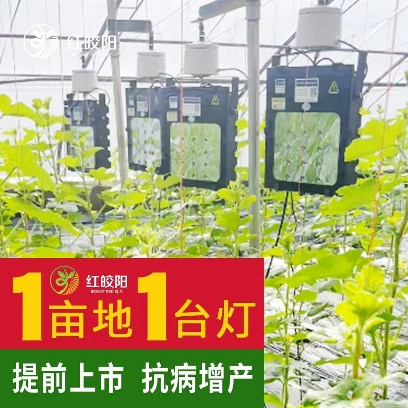 【黃瓜專用飽光燈】大棚專用激光補(bǔ)光燈黃瓜激光補(bǔ)光紅皎陽生長(zhǎng)燈