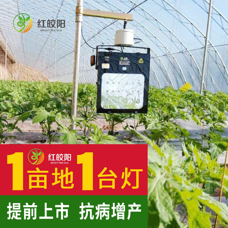 紅皎陽智慧農(nóng)業(yè)激光植物生長大棚西紅柿黃瓜種植植物蔬菜補(bǔ)光燈