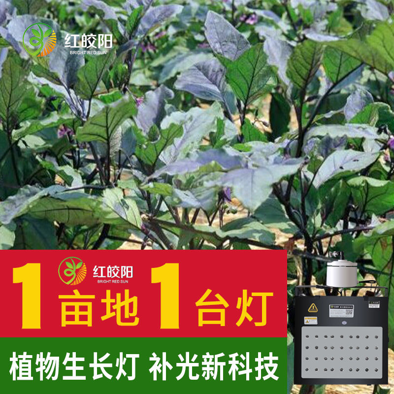 【茄子專用燈】大棚植物激光補光燈紅皎陽茄子生長補光飽光節(jié)能