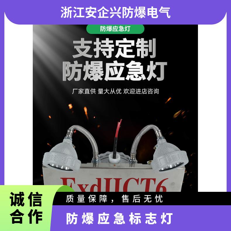 不銹鋼壁掛安全出口防爆應(yīng)急照明燈2*3W材質(zhì)IIB