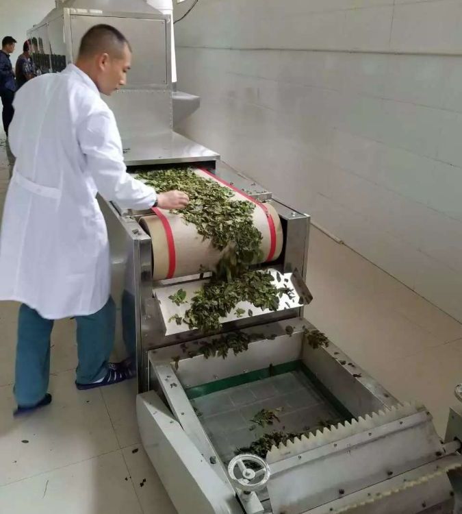 齊協(xié)茶葉微波殺青機(jī)型號(hào)：QX-20HM3可以用于毛尖、綠茶的連續(xù)殺青
