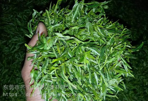 花茶殺青微波機花茶殺青微波機指標花茶殺青微波機型號
