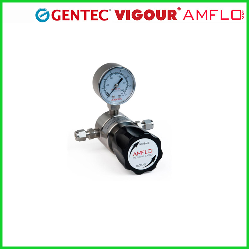 敦陽(yáng)AMFLOR11\/R12\/R31\/R41\/R82系列不銹鋼黃銅氣體精密控制減壓器
