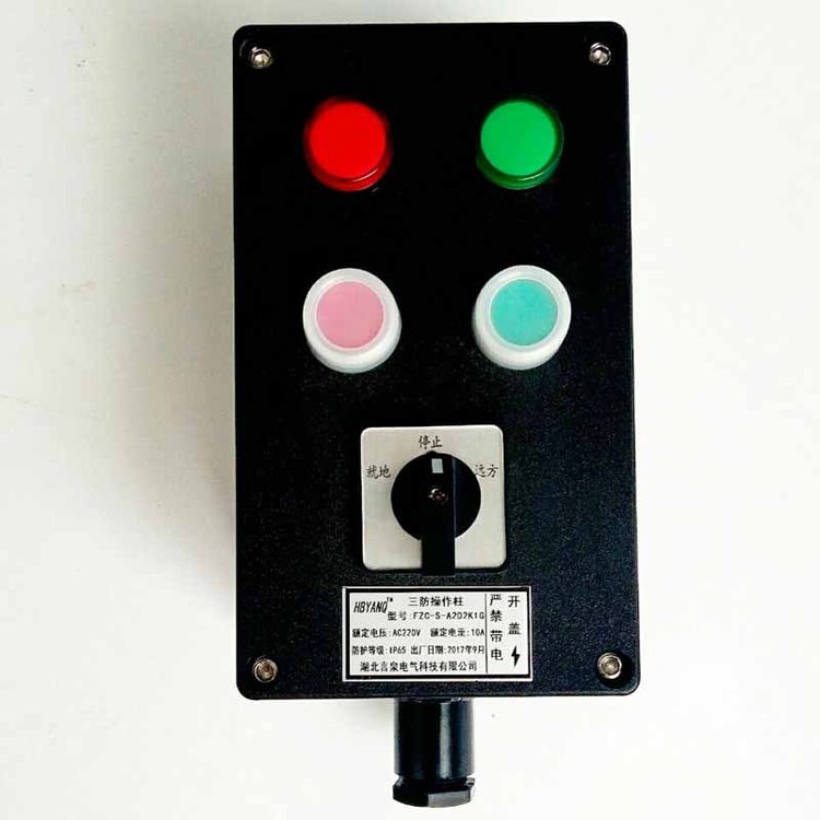 全塑防腐控制箱FZC-A2D2K1L戶外立式化工廠防水防塵按鈕開關箱