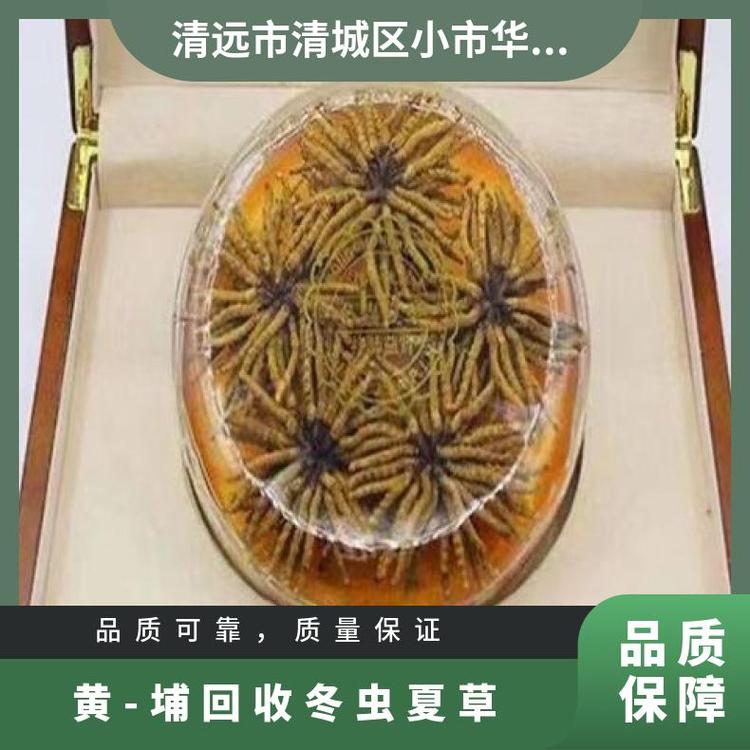 陰涼干燥處保存禮品一級現(xiàn)款結(jié)算嚴格保密回收冬蟲夏草