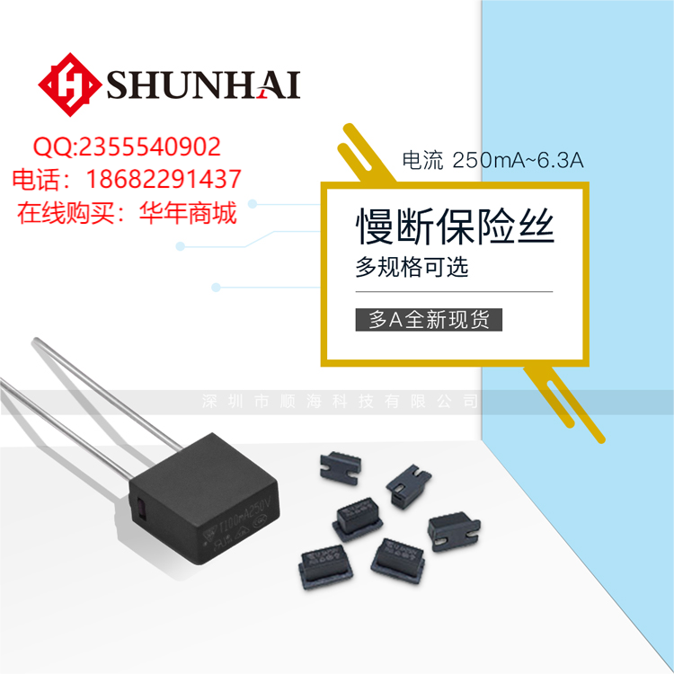 100mA0.1A250V一次性方形保險(xiǎn)絲20102020392396華年商城現(xiàn)貨