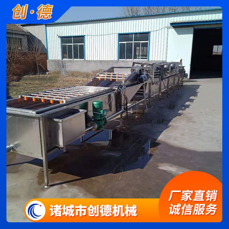 辣椒氣泡清洗機(jī)蕓豆清洗加工設(shè)備桃子玉米清洗流水線創(chuàng)德定制