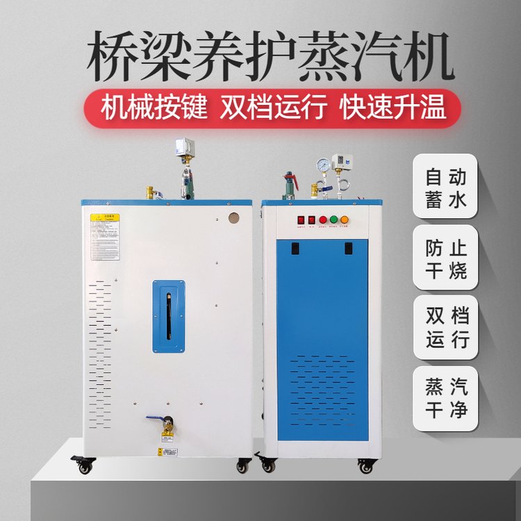 全自動橋梁蒸汽機電加熱48kw蒸汽發(fā)生器混凝土養(yǎng)護(hù)器