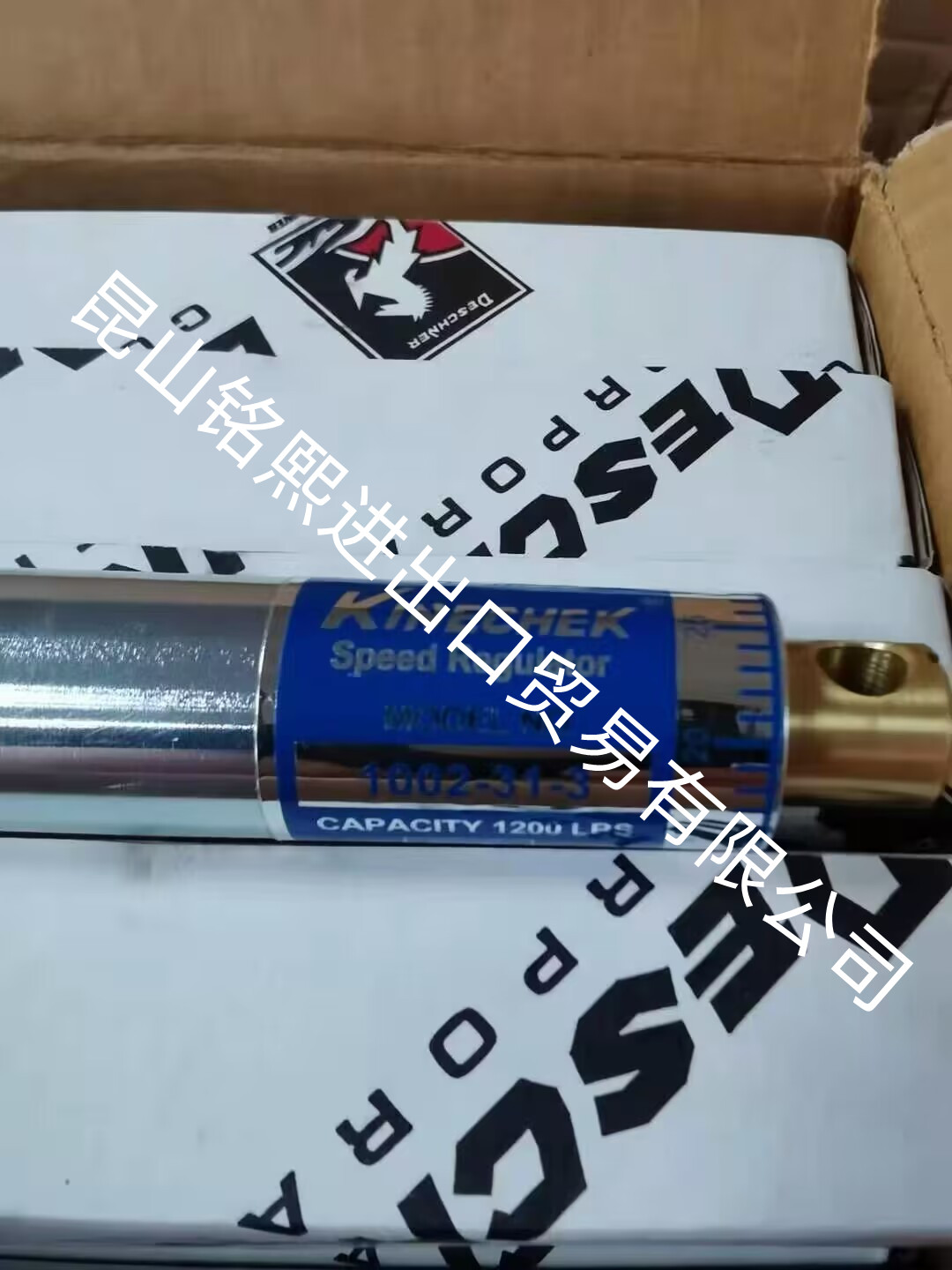 1002-31-3美國DESCHNERKINECHEK白馬穩(wěn)速器