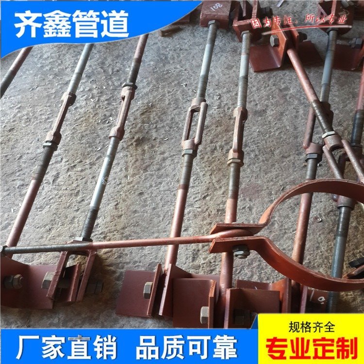齊鑫石化工藝管道彎管用D型變力彈簧支吊架C10-1