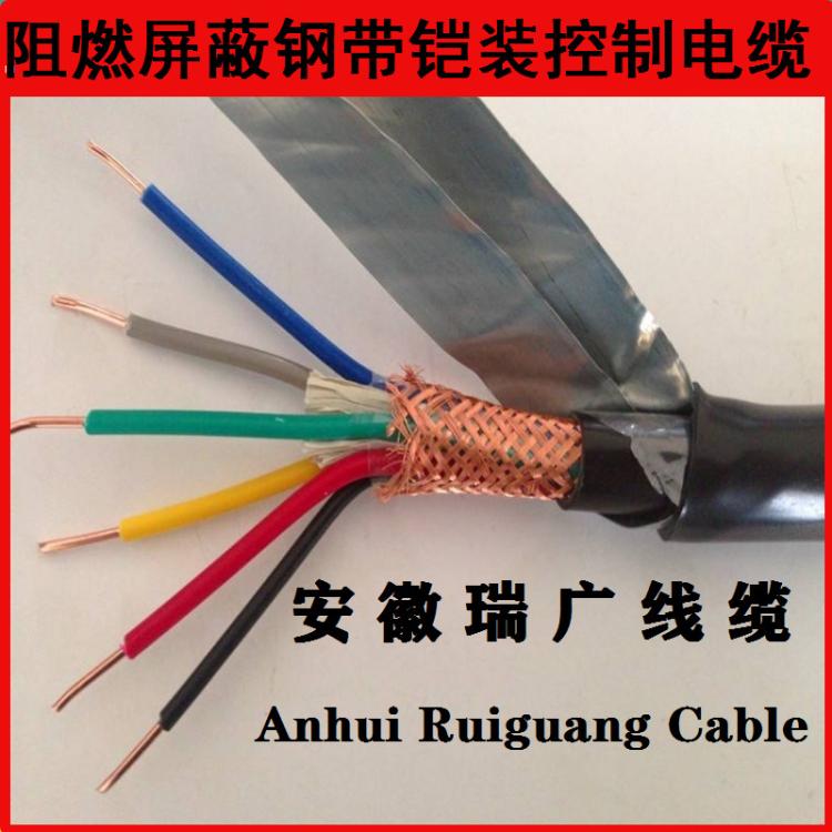 ZR-KVVP2-22-4×1.0阻燃屏蔽鎧裝電纜WDZB-KYJVRP23、DDZRA-KYJYR
