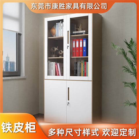 辦公室文件鐵皮資料鐵檔案柜財務憑證柜玻璃書柜帶鎖儲物柜子