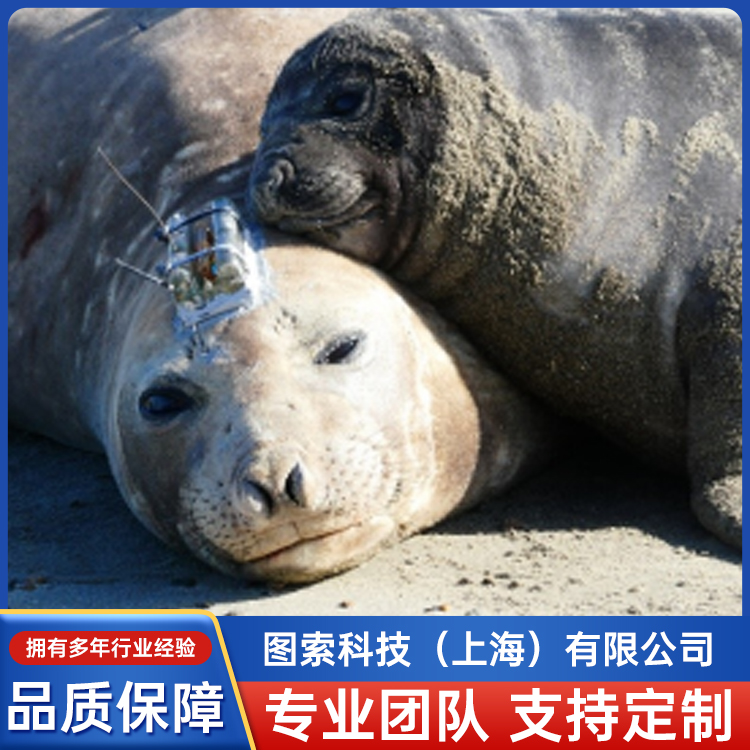 TDR10-X-340精細(xì)運(yùn)動(dòng)數(shù)據(jù)存檔標(biāo)簽有多種配置可供選擇云瀧