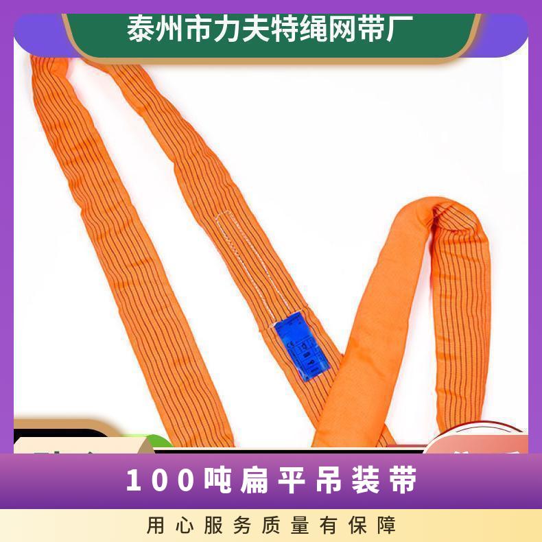 力夫特高強度滌綸型號70165049438100噸吊裝帶扁平吊帶