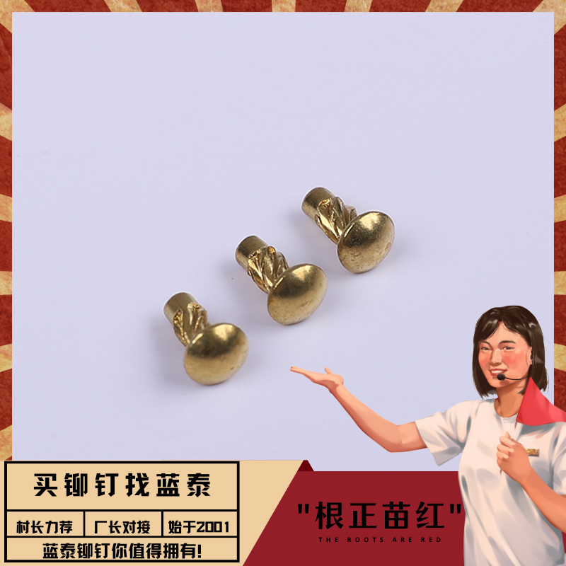 黃銅標(biāo)牌鉚釘直紋滾花銘牌銅鉚釘蘑菇頭實(shí)心卯釘定制