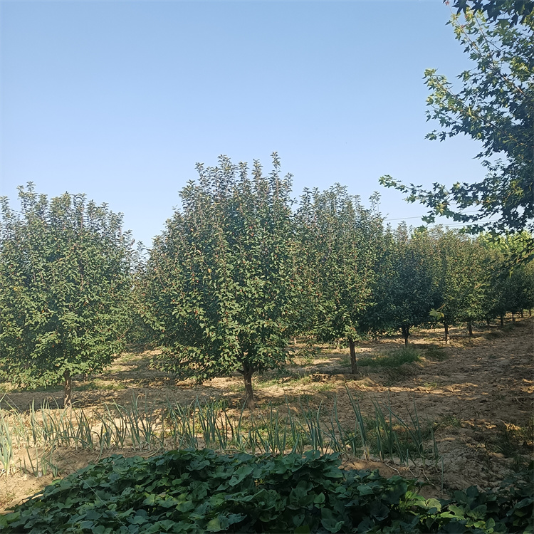 ľ8-10-12-15-18ľϺĘκøϵl(f)_(d)