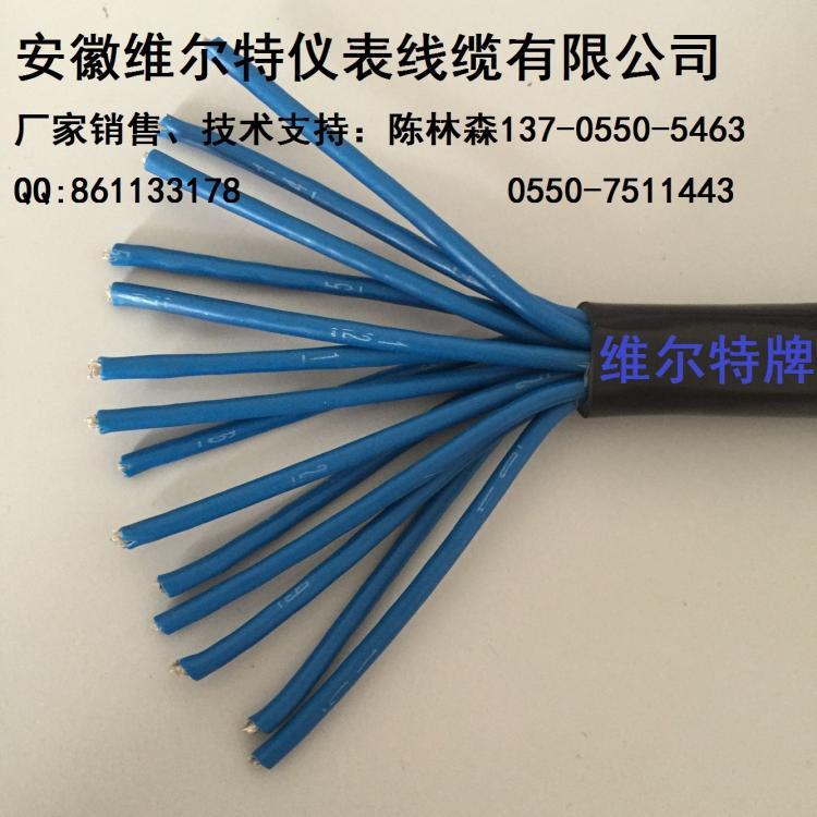 計(jì)算機(jī)電纜IA-DJYJP2V(R)P2本安電纜聚乙烯絕緣阻燃信號(hào)電纜本安
