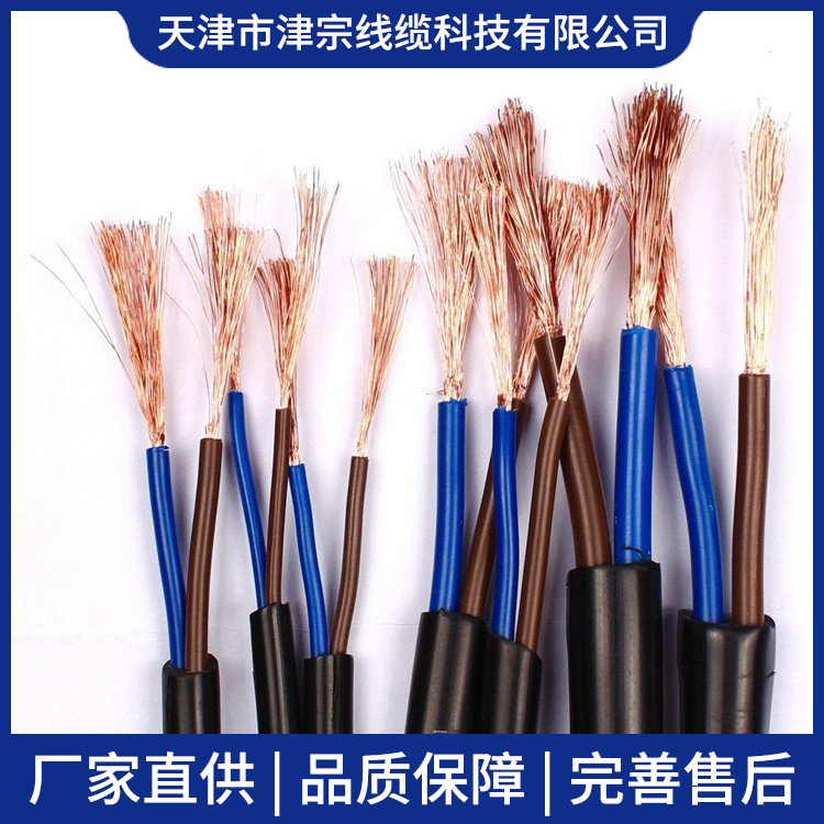 銅帶屏蔽ZBN-DJFVP2-3*2*0.75阻燃計(jì)算機(jī)控制電纜津宗