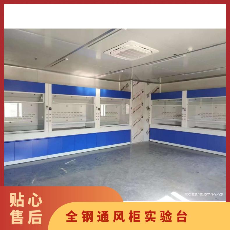 全鋼通風(fēng)柜實(shí)驗(yàn)臺(tái)耐酸堿PP排風(fēng)櫥尾氣處理設(shè)備-思必得