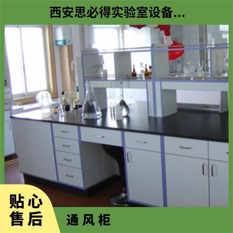 全鋼邊臺(tái)PP通風(fēng)柜廠家報(bào)警氣瓶柜定做思必得speed