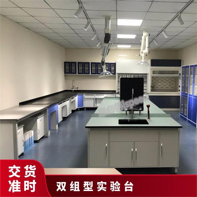 實(shí)驗(yàn)室儀器柜制造化驗(yàn)室化驗(yàn)臺(tái)鋼木檢驗(yàn)臺(tái)廠(chǎng)家-思必得speed