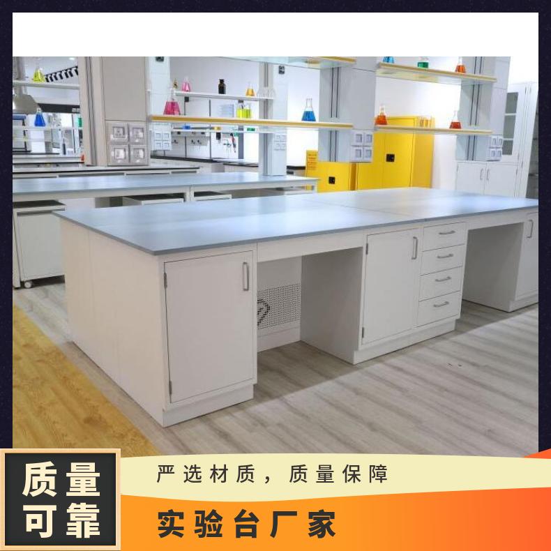 化驗(yàn)室操作臺PP化驗(yàn)臺通風(fēng)柜廠家思必得speed