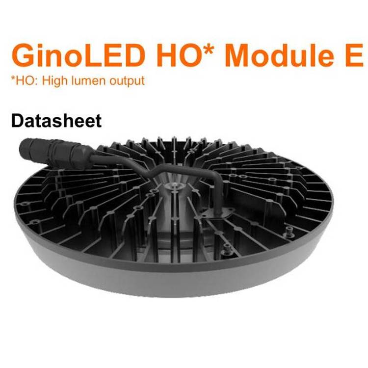 W˾GinoLEDHOModuleLED{(dio)⹤V