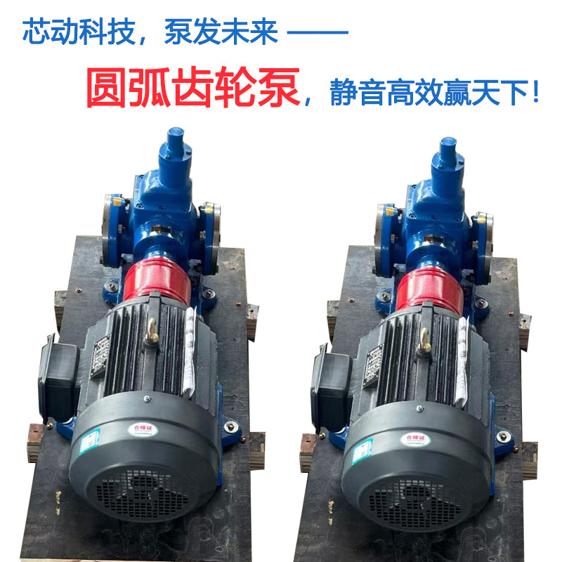 生產(chǎn)YCB圓弧齒輪油泵圓弧驅(qū)動(dòng)夢(mèng)想靜音贏天下潤(rùn)滑油輸送泵