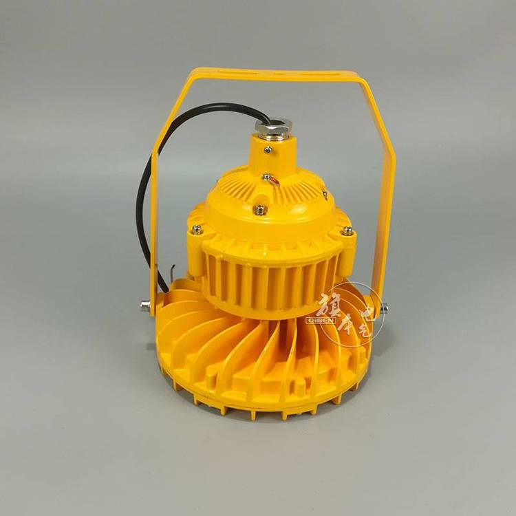BLD220-LED50W防爆燈壓鑄鋁外殼IP666000K支架式WF2旗本電氣