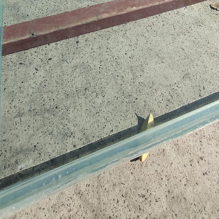 S{Ɠ̴