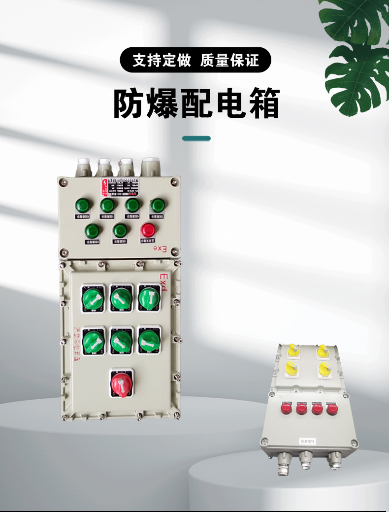 言泉防爆磁力啟動器配電箱防水防腐220V380V電機風(fēng)機水泵開關(guān)箱