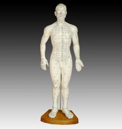 人體針灸模型50CM醫(yī)學(xué)教學(xué)模擬人中醫(yī)針灸模型