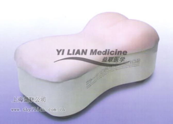 智能推拿手法測定系統(tǒng)醫(yī)學教學模型