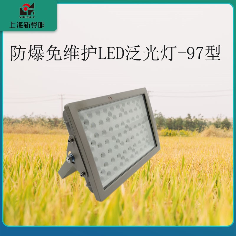 800wLED_ڒʽLEDͶ_LEDS