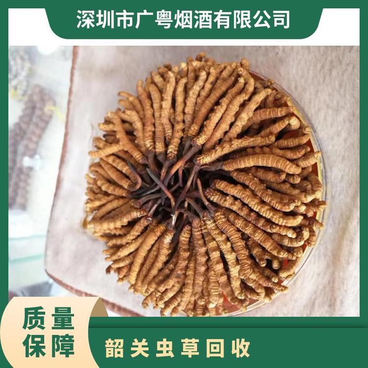 蟲草回收商家高價(jià)收購禮盒裝散裝冬蟲夏草燕窩求購名酒禮品